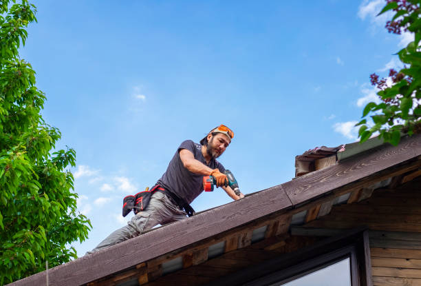 Skylights in Canfield, OH